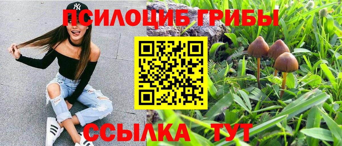 Галлюциногенные грибы Psilocybine cubensis  Псилоцибиновые грибы GOLDEN TEACHER  Вход с VPN  Сухой Лог 