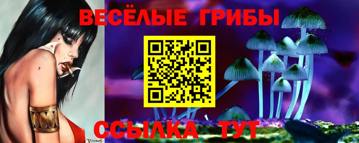 Псилоцибиновые грибы MAGIC MUSHROOMS Сухой Лог